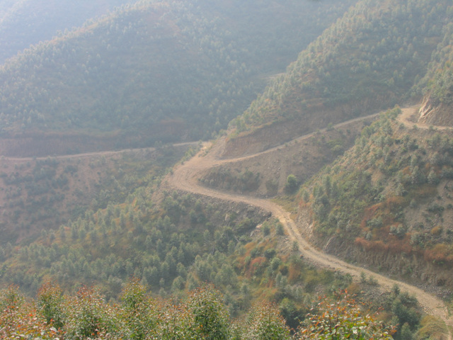 M2与KT 应雅哈马邀请,游街街...