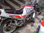 广州出售TZR125~~~50C越野各一台1800~3000元