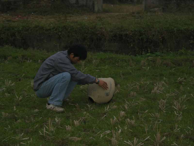 新年大家玩什么？？？
