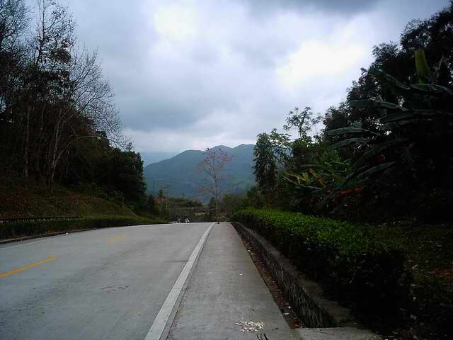 再来一张五指山PP