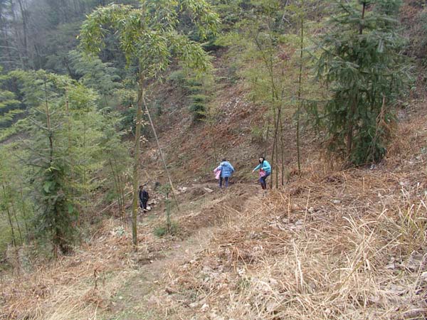 2車3人2800公里來回湖南張家界