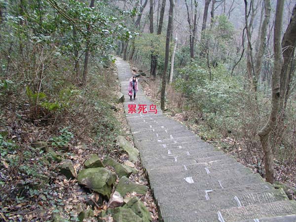 2車3人2800公里來回湖南張家界