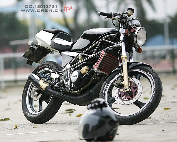 狂野的柔情 yamaha sdr 200 超多美图
