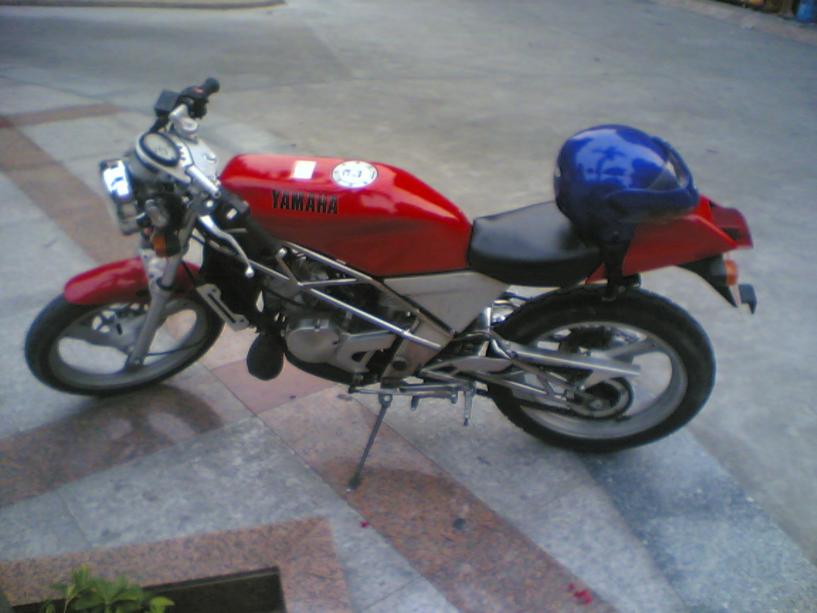 0Bgyv06a.jpg
