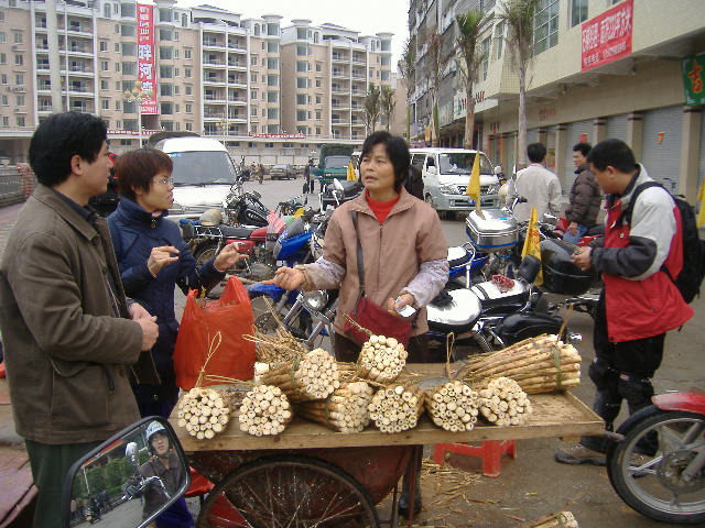 相约广宁,共聚绥江!