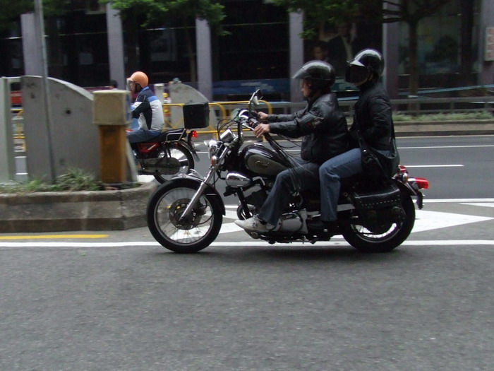 （更新了！）劲改的羊羊 / 警察的好车 / 人民的牛车 / 唉唉唉口水又来了
