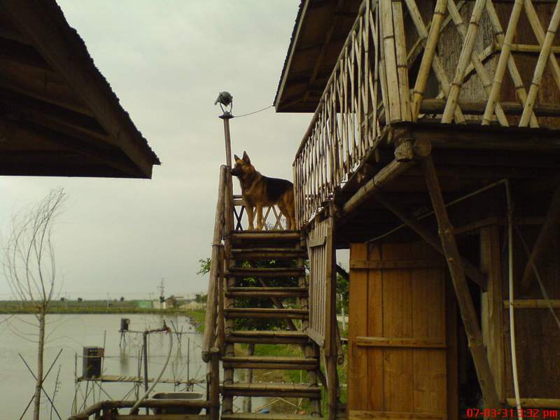 2007-03-31广佛车友聚会花絮
