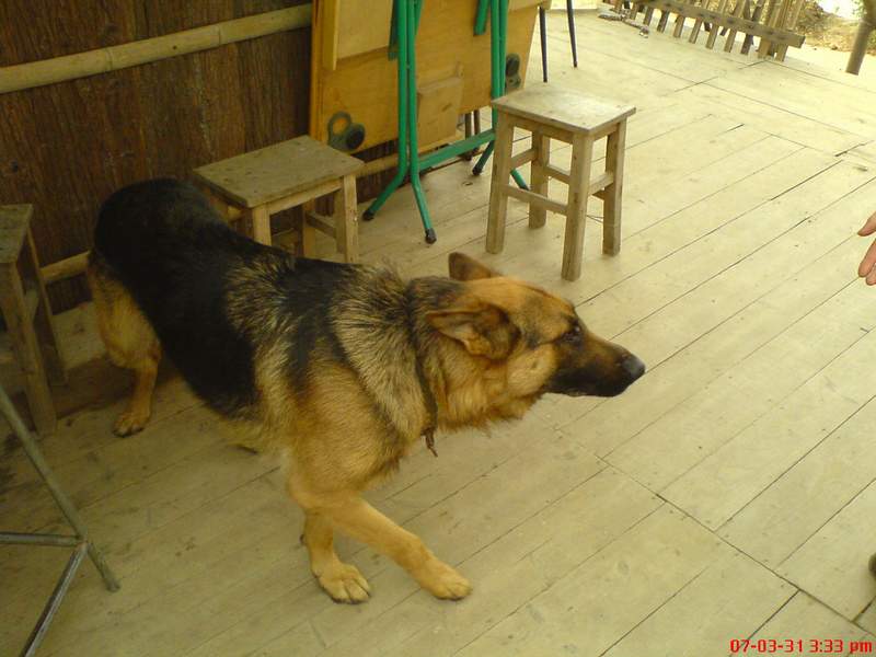 2007-03-31广佛车友聚会花絮