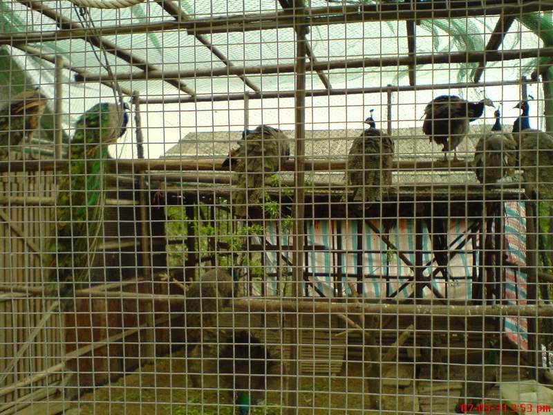 2007-03-31广佛车友聚会花絮