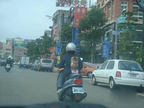 台湾一景!