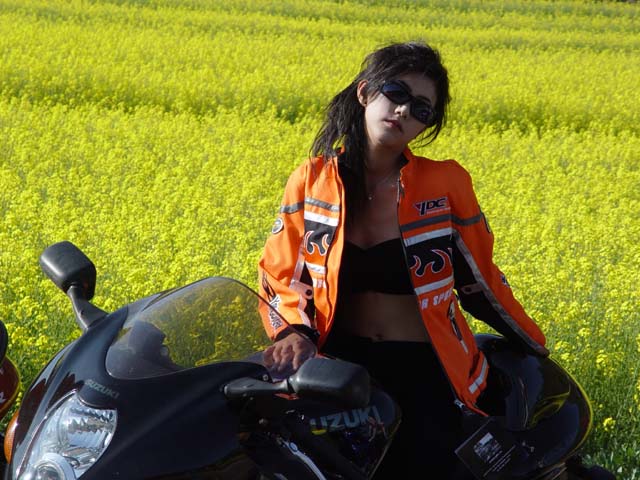 靓女车手陆续有来