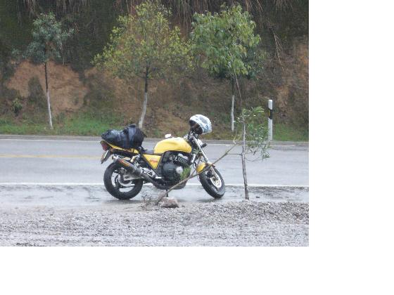 湛江卖96CB400，带广西真牌