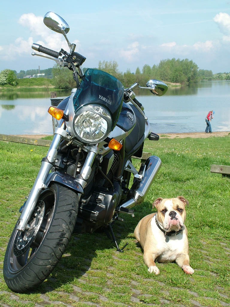 BT1100加BULLDOG