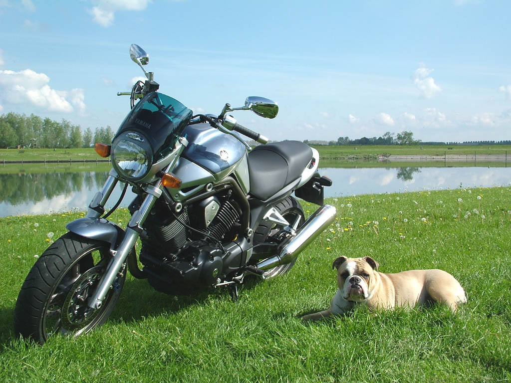 BT1100加BULLDOG