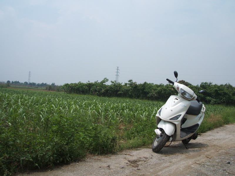 YAMAHA~劲风90