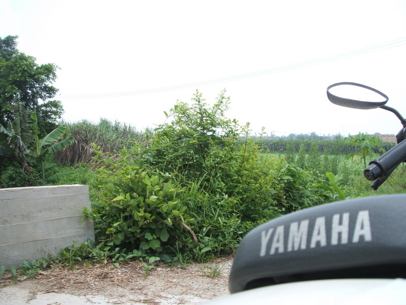 YAMAHA~劲风90