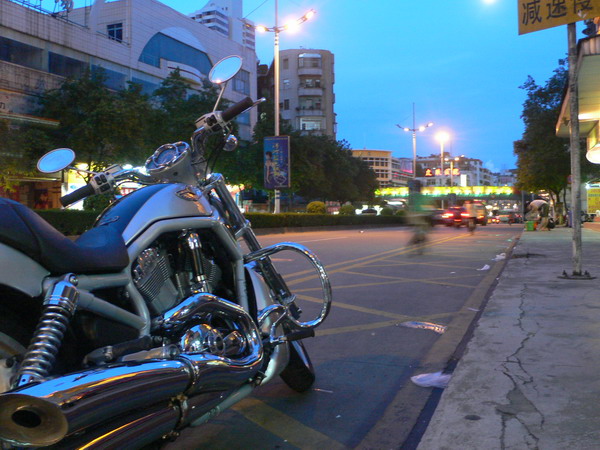 ------夜色江门  魅影哈利------