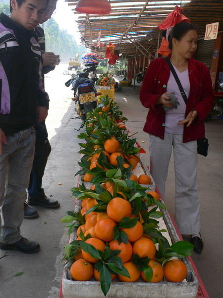 黄金周,游德庆,做"水鱼"!