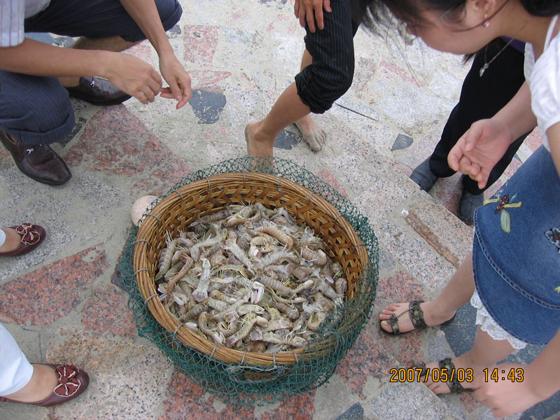 ５．２肇庆阳江车友聚会茂名 (肇庆）第三页多图