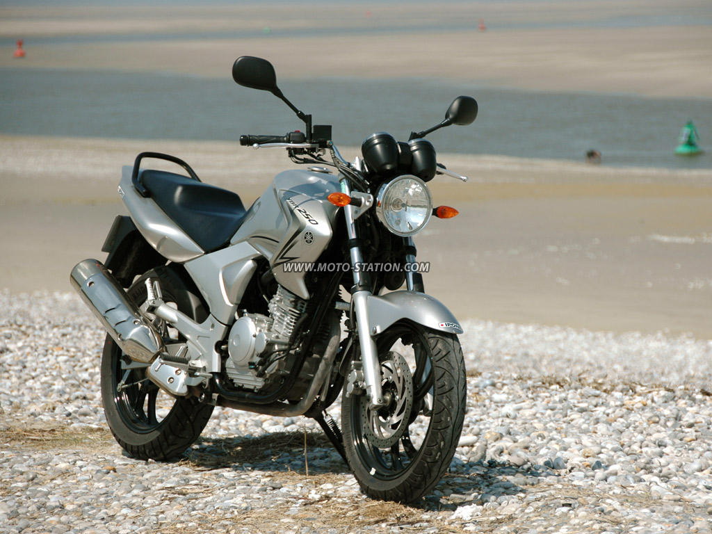 欧洲   YBR250