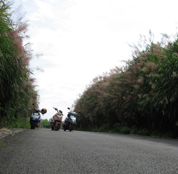 [原创]年会前的磨合．２４０ＫＭ阳山行
