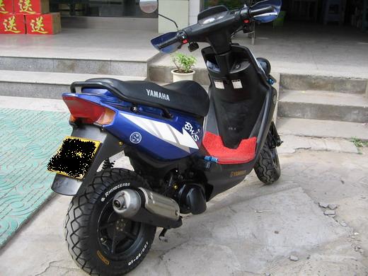 BWS100