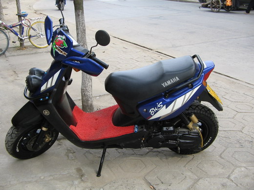 BWS100