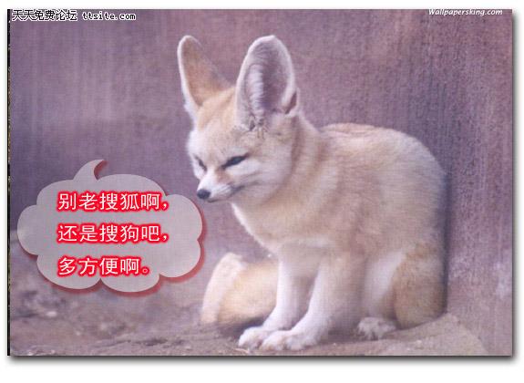 开心一笑