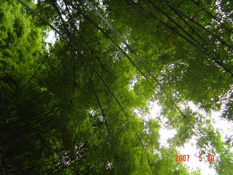 [原创]开着摩托去参加单车年会