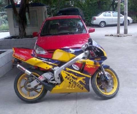 NSR-3仔