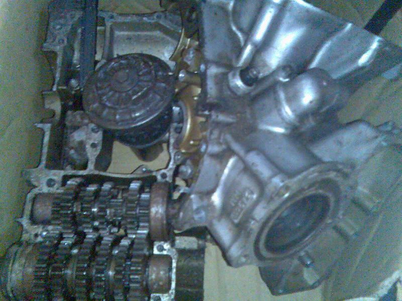 广东恩平代友出售VT250(1000元)泰版RG150(2800元)