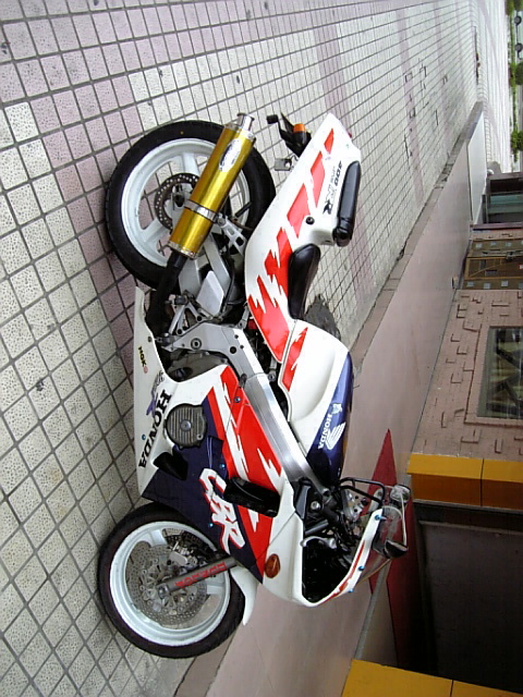 yjB5Jm8I.jpg