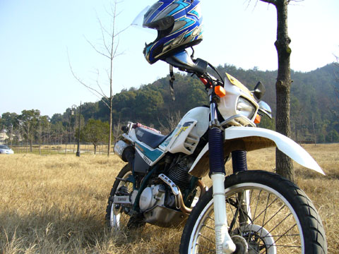 湖北黄石8500元售YAMAHA97羚羊!!!