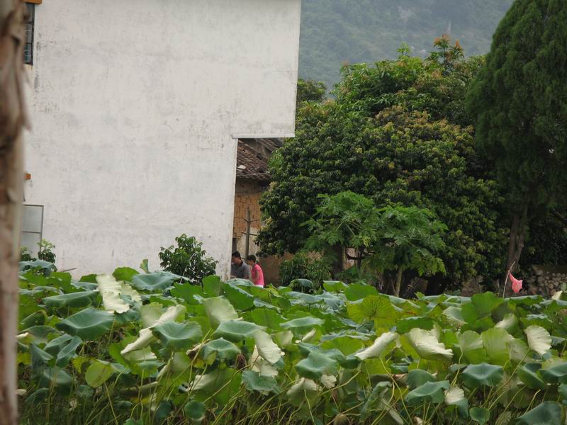 [原创]最爽快的一次夏天闲游