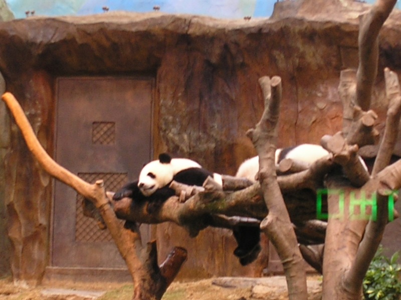 香港之旅之二