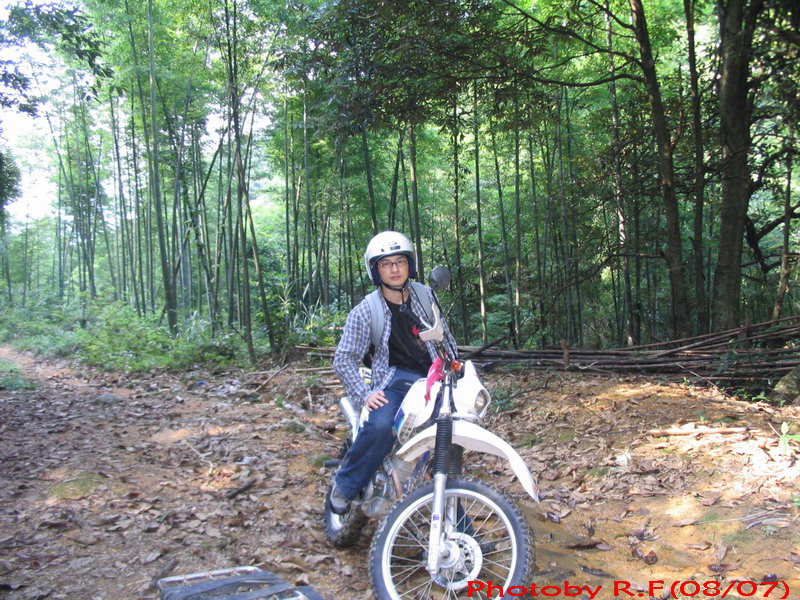 7月南昆山林道初探~~~