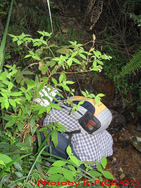 7月南昆山林道初探~~~