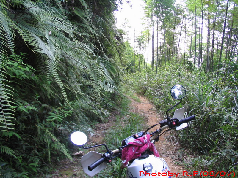 7月南昆山林道初探~~~