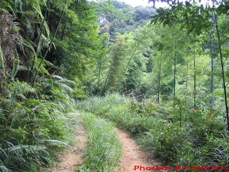 7月南昆山林道初探~~~