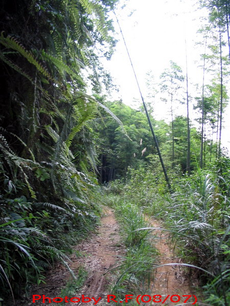 7月南昆山林道初探~~~