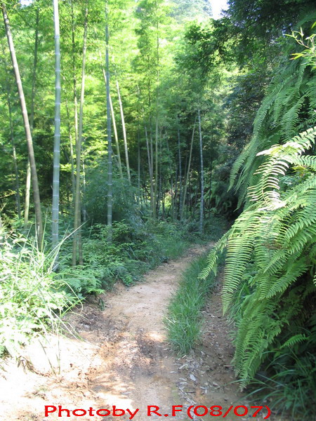 7月南昆山林道初探~~~