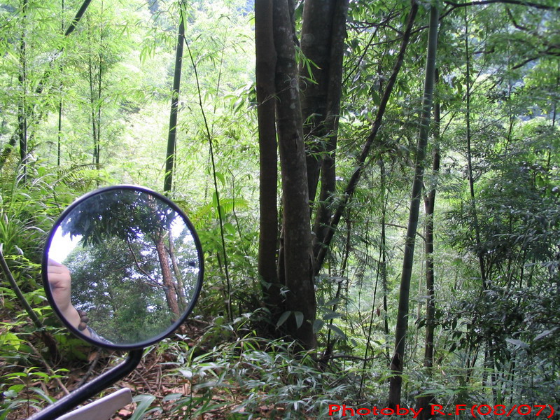 7月南昆山林道初探~~~