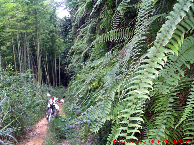 7月南昆山林道初探~~~