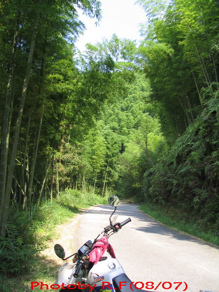 7月南昆山林道初探~~~