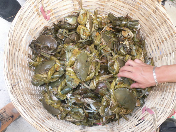江门M2"蟹"逅黑沙湾