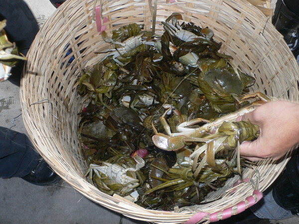 江门M2"蟹"逅黑沙湾