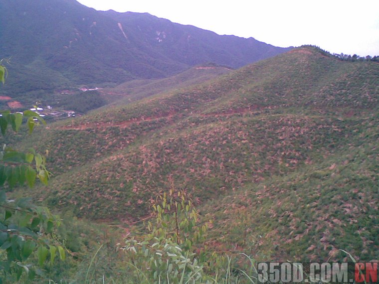 本月12日鹤山越野跑林道召集