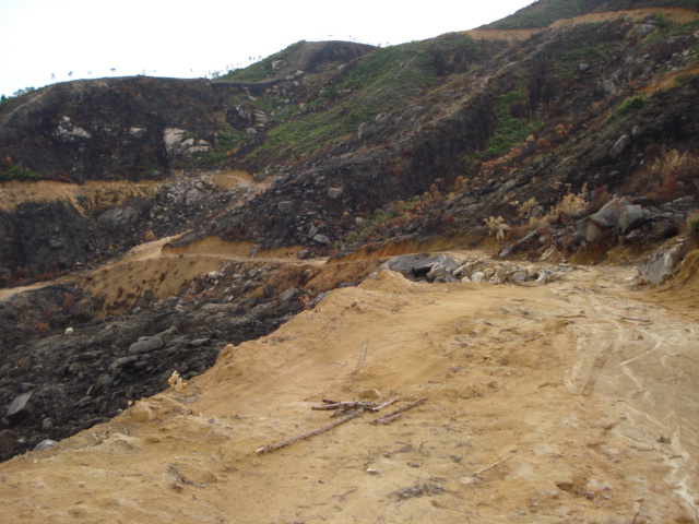 本月12日鹤山越野跑林道召集