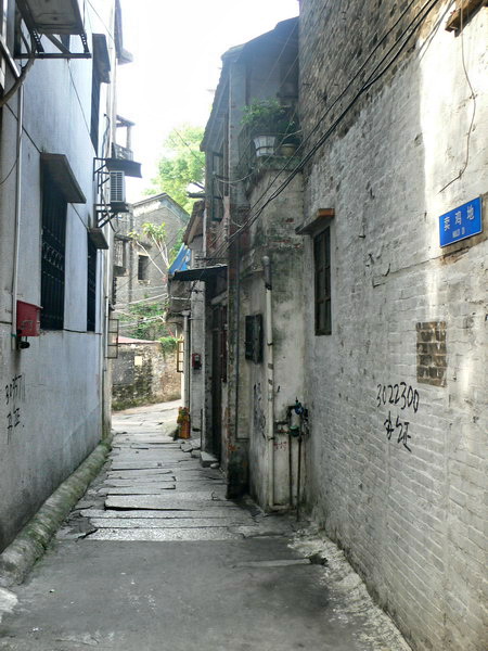 童年的"卖鸡地"!