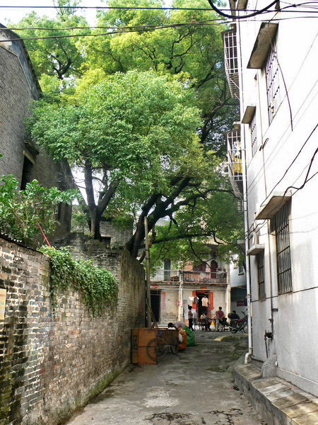 童年的"卖鸡地"!